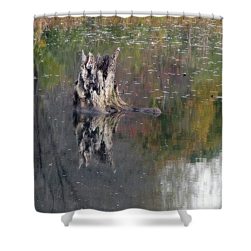 Cedric Hampton Shower Curtain featuring the photograph Tree Stump In Lake Katherine by Cedric Hampton