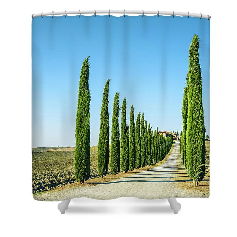 Long Shower Curtain featuring the photograph Treelined Country Road In Val Dorcia by Cirano83