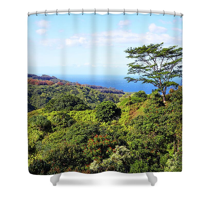 Scenics Shower Curtain featuring the photograph Trees Along Maui North Shore by Allan Baxter