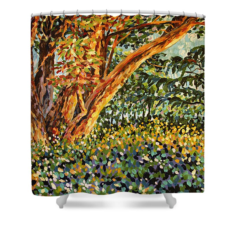 Bonnie Follett Shower Curtain featuring the painting Trees at Sunset in Lafayette Park by Bonnie Follett