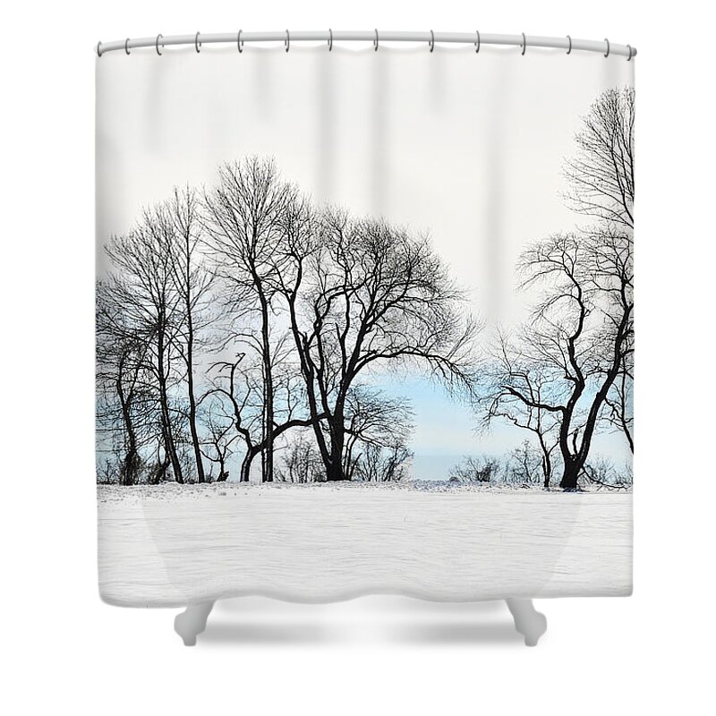 Tyler Park Shower Curtain featuring the photograph Trees at Tyler Park by William Jobes