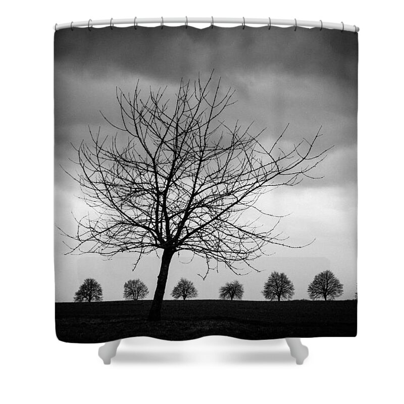 Tree Shower Curtain featuring the photograph Trees black and white by Matthias Hauser