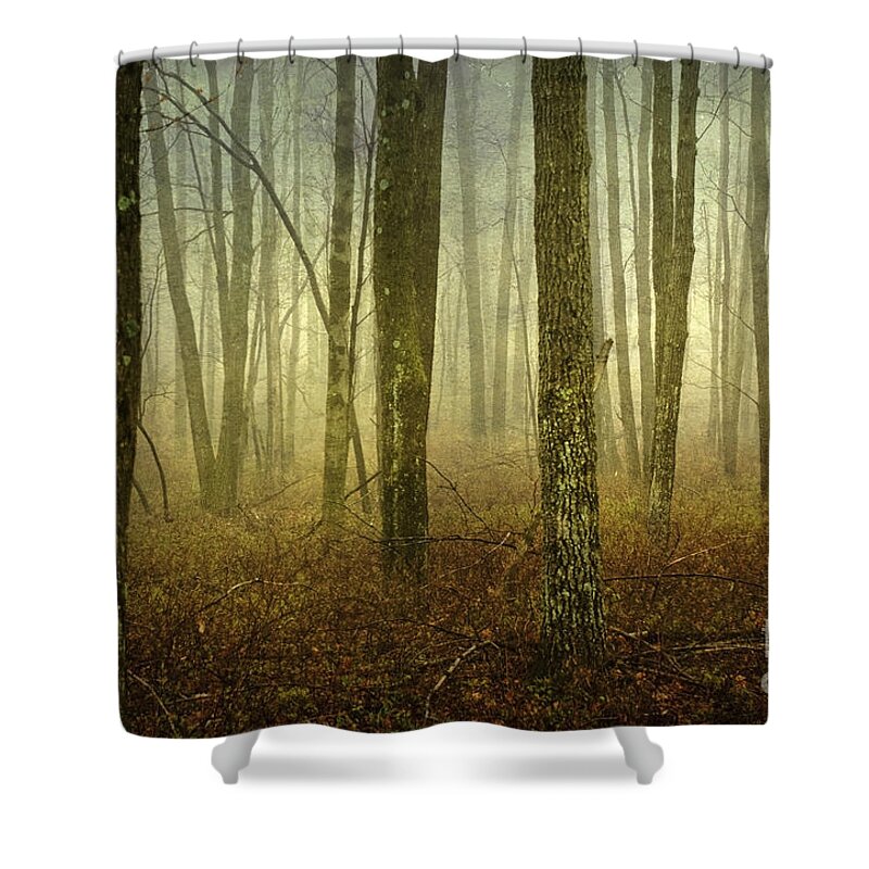 Bare Shower Curtain featuring the photograph Trees II by Debra Fedchin