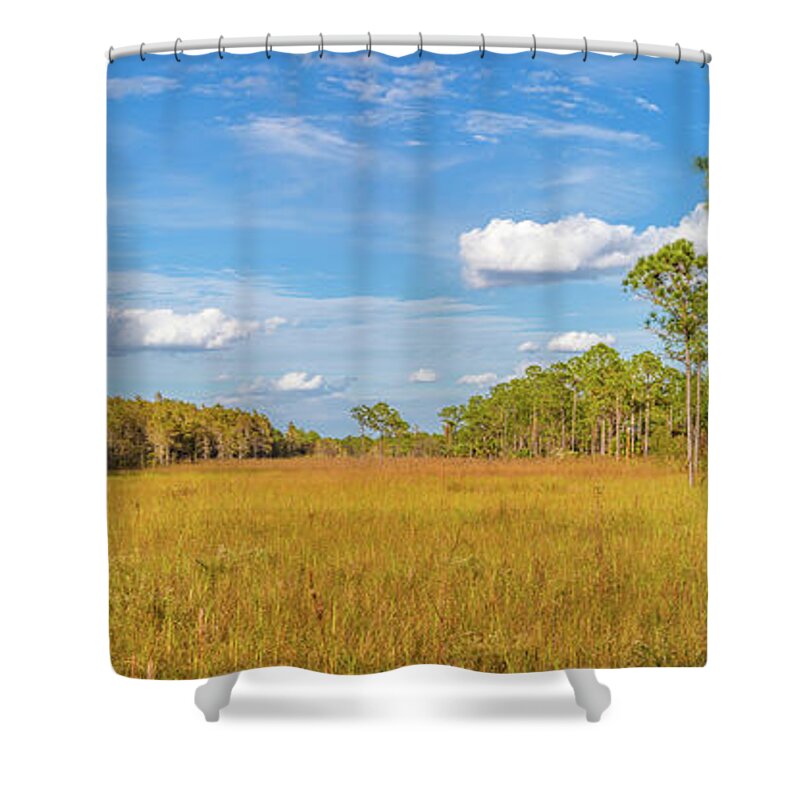 Corkscrew Swamp Sanctuary Shower Curtains