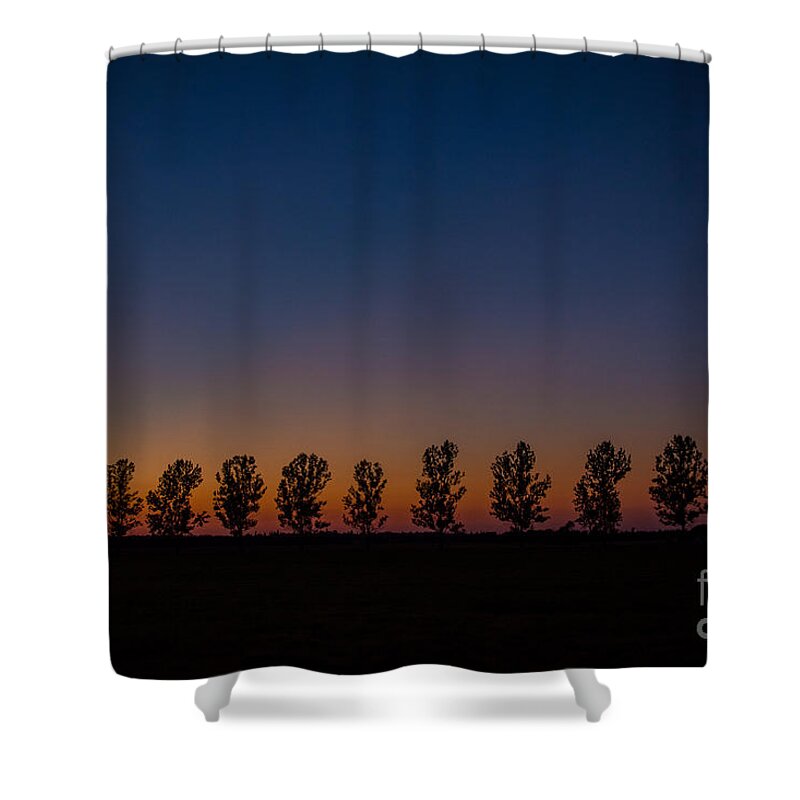Pink Shower Curtain featuring the photograph Trees in a Row Sunset by Cheryl Baxter