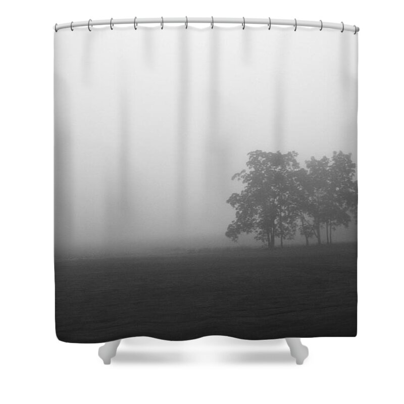 Rhonda Barrett Shower Curtain featuring the photograph Trees in the Mist by Rhonda Barrett