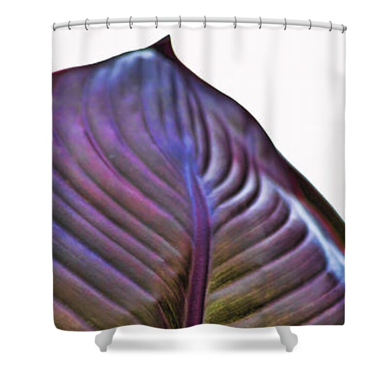 Three Shower Curtain featuring the photograph Tribotany1 by John Hansen