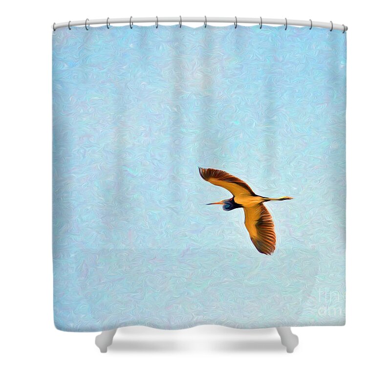 Tricolored Heron Shower Curtain featuring the photograph Tricolored Heron Flight by Kerri Farley