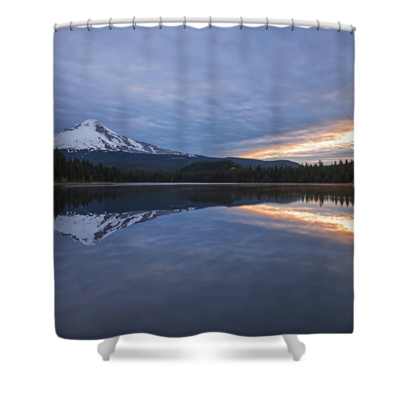 Tranquility Shower Curtain featuring the photograph Trilliums Return by Andrew Curtis