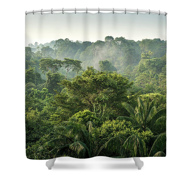 Scenics Shower Curtain featuring the photograph Tropical Rainforest by Chanachai Panichpattanakij