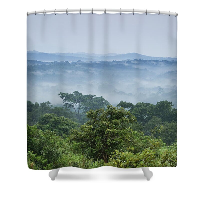 Sebastian Kennerknecht Shower Curtain featuring the photograph Tropical Rainforest Kibale Np Western by Sebastian Kennerknecht