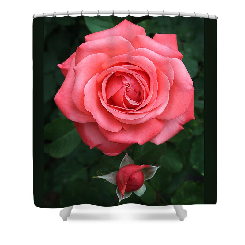 Tropicana Shower Curtain featuring the photograph Tropicana Rose by Lena Auxier
