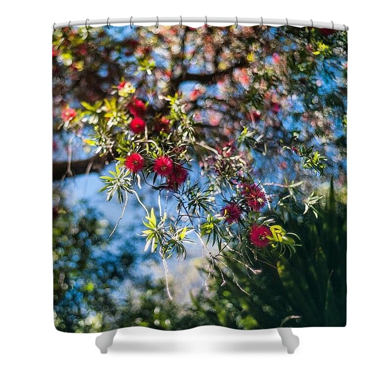  Shower Curtain featuring the photograph True Beauty, South Africa by Aleck Cartwright