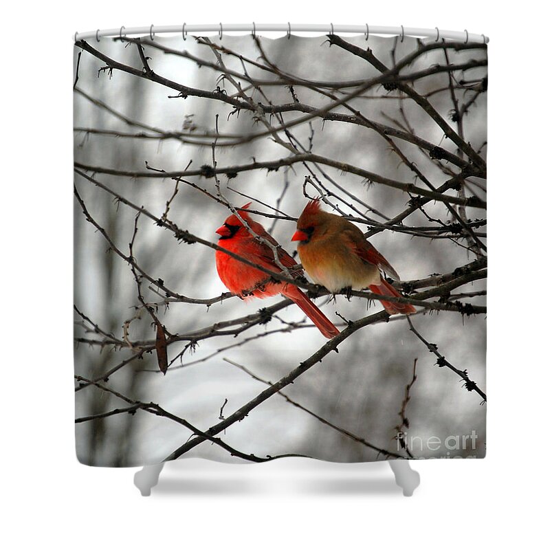 Cardinals Shower Curtain featuring the photograph True Love Cardinal by Peggy Franz