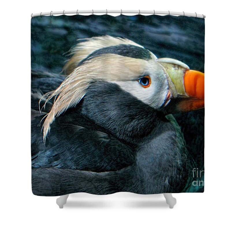 Puffin Shower Curtain featuring the photograph Tufted Puffin Profile by Jennie Breeze