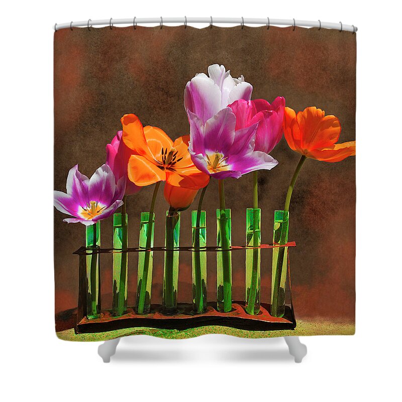 Tulips Shower Curtain featuring the photograph Tulip Experiments by Jeff Burgess