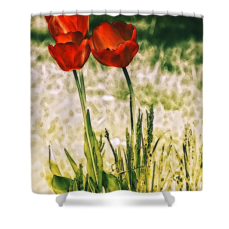 Red Shower Curtain featuring the photograph Tulip Trio by Sharon Woerner