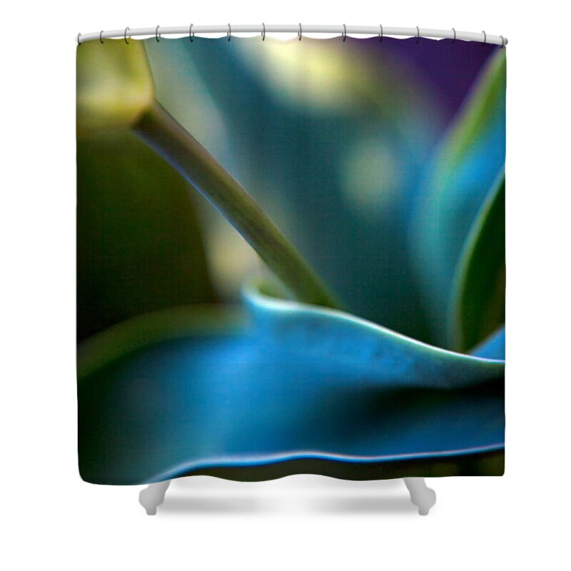 Modern Shower Curtain featuring the photograph Tulip Unexpected by Theresa Tahara