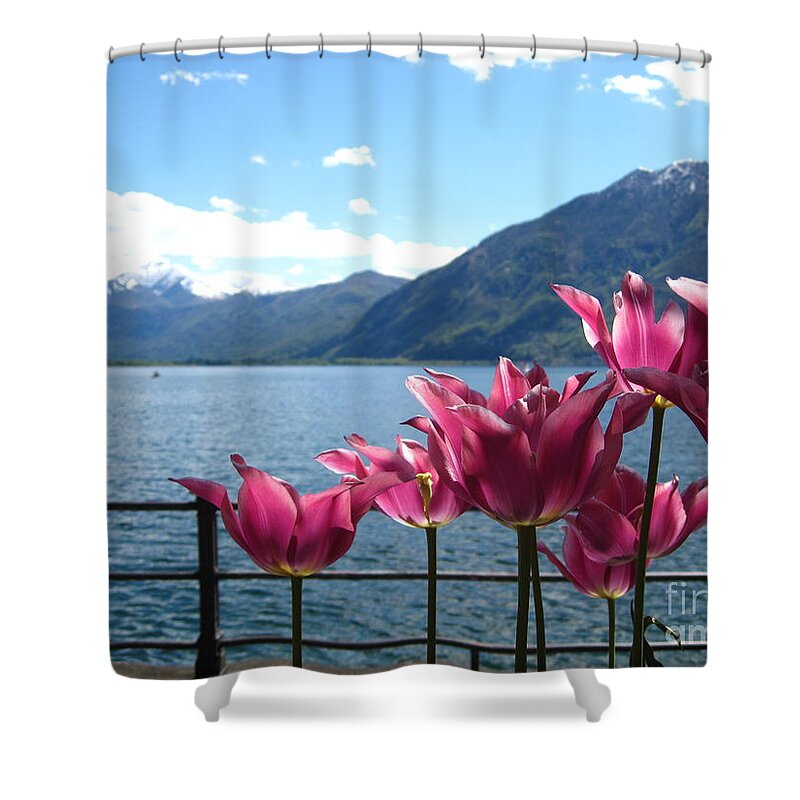 Sky Shower Curtain featuring the photograph Tulips at Lake Geneva by Amanda Mohler