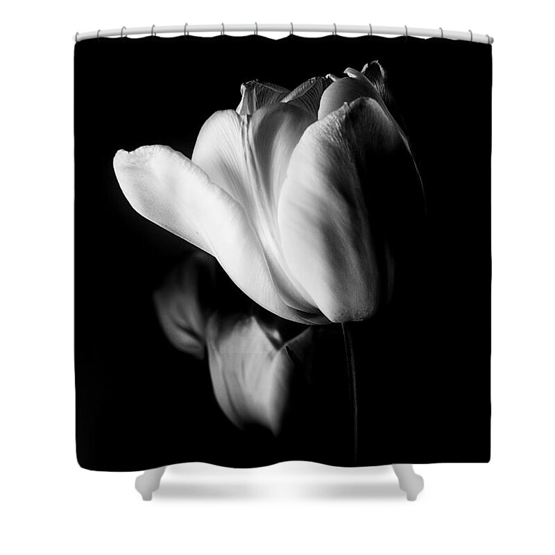 Tulips Shower Curtain featuring the photograph Tulips In Black and White by Julie Palencia
