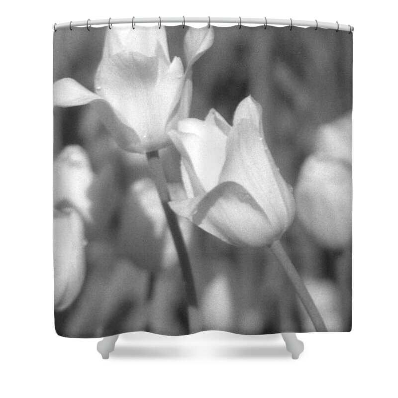 Tulip Shower Curtain featuring the photograph Tulips - Infrared 14 by Pamela Critchlow