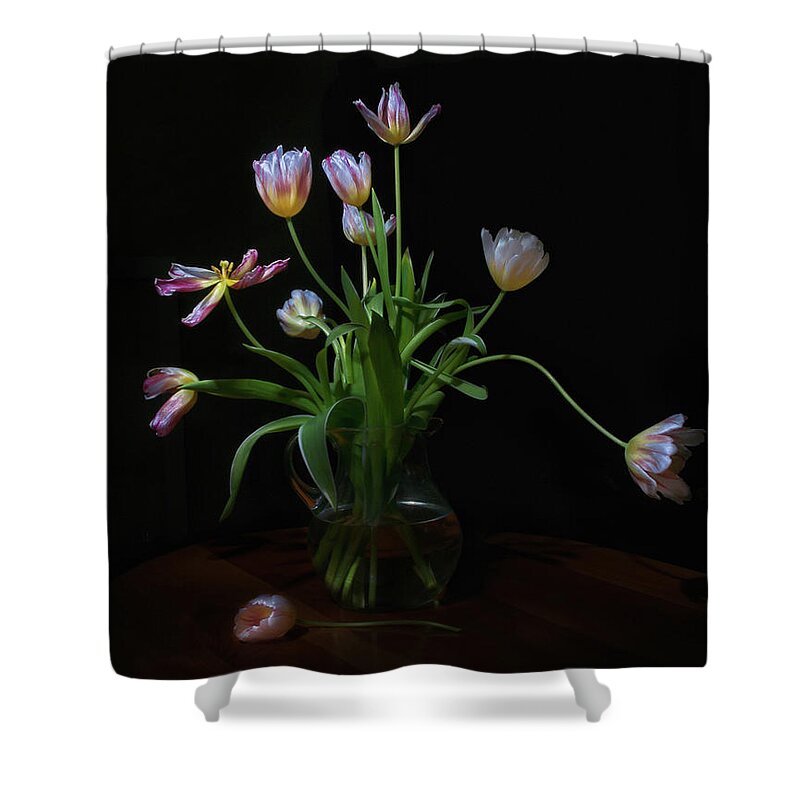 Vase Shower Curtain featuring the photograph Tulips by Karen Von Knobloch Photographerkaren