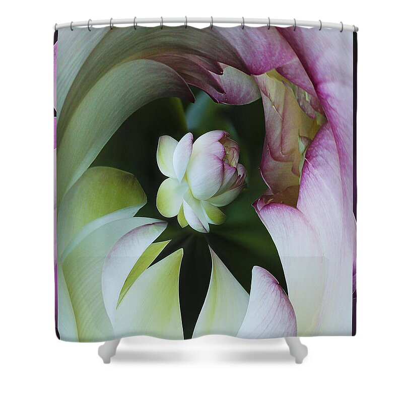 Flower Shower Curtain featuring the photograph Tunnel of Lotus by Jean Noren
