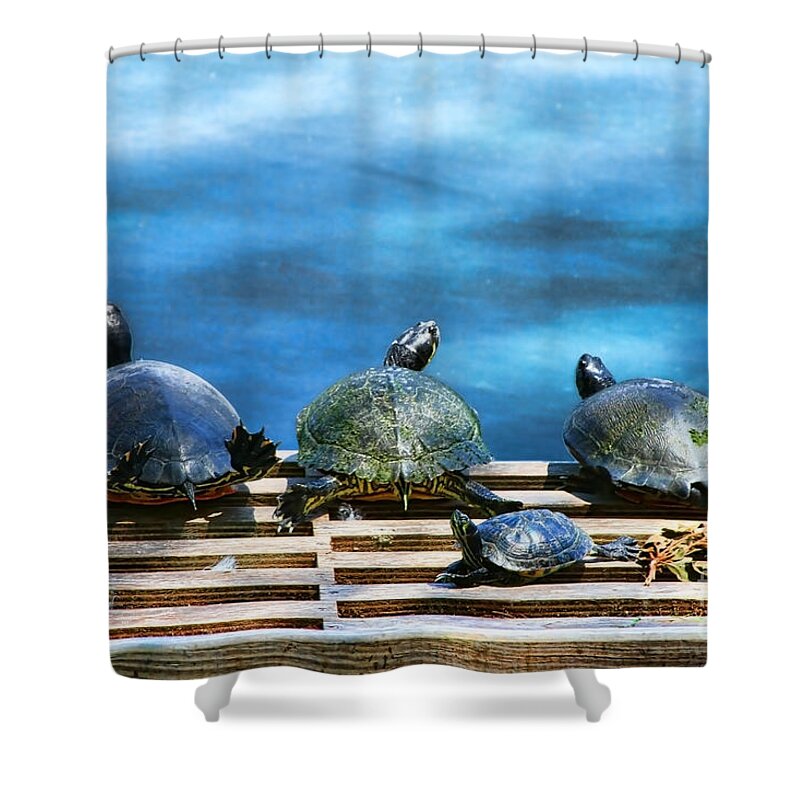 Turtle Shower Curtain featuring the photograph Turtle Turtle Turtle Tiny Turtle by Diana Sainz by Diana Raquel Sainz