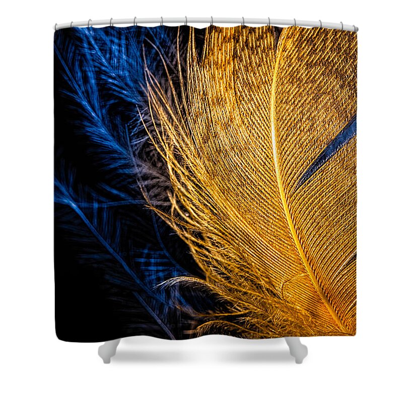 Abstract Shower Curtain featuring the photograph Tweety Bird by Bob Orsillo