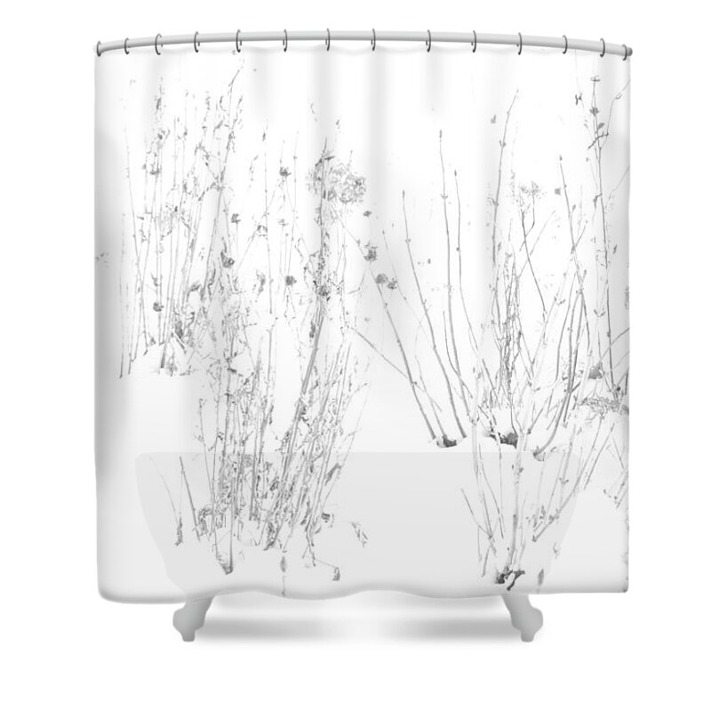 Black And White Image Shower Curtain featuring the photograph Weeds in Snow by Valerie Collins