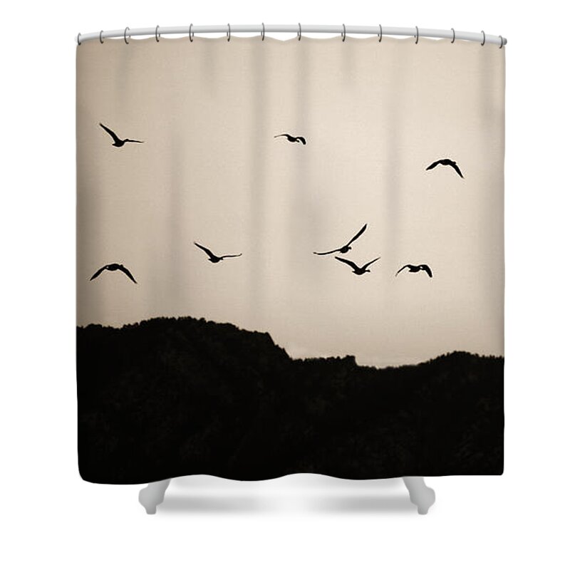 Twilight Shower Curtain featuring the photograph Twilight Geese by Marilyn Hunt