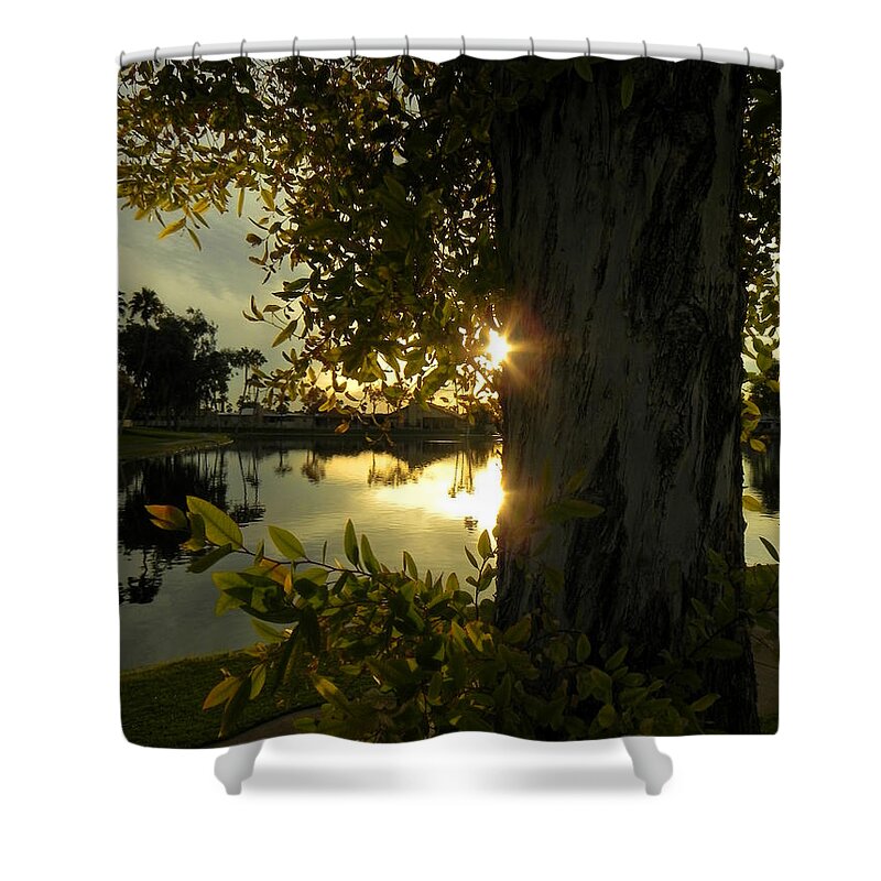 Tree Shower Curtain featuring the photograph Twilight Splendor by Deb Halloran