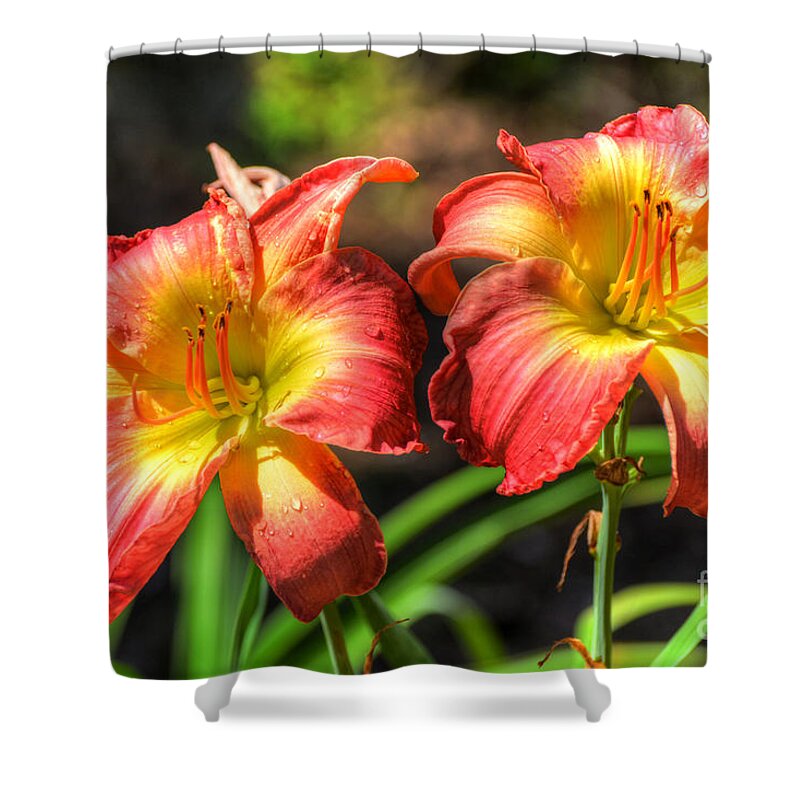 Flowers Shower Curtain featuring the photograph Twin Lilies by Kathy Baccari
