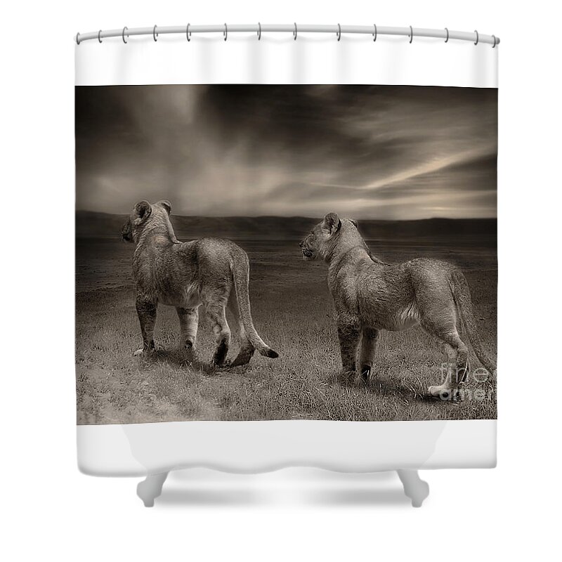 Lion Shower Curtain featuring the photograph Twins 2 by Christine Sponchia