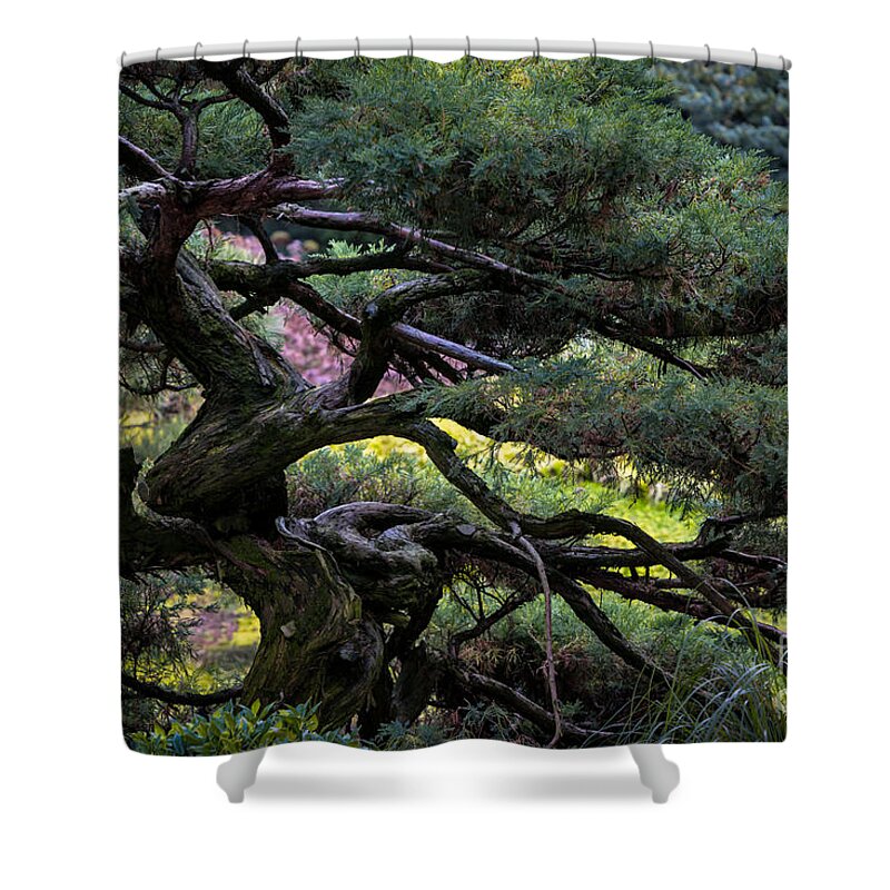 Gibbs Gardens Shower Curtain featuring the photograph Twisted Beauty by Doug Sturgess