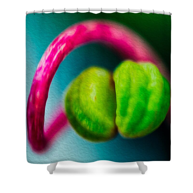 North Cascades Shower Curtain featuring the painting Twisted Beauty by Omaste Witkowski