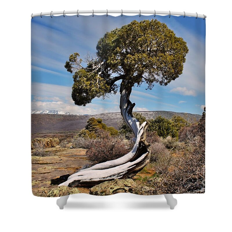 Colorado Shower Curtain featuring the photograph Twisted Sister by Janice Pariza