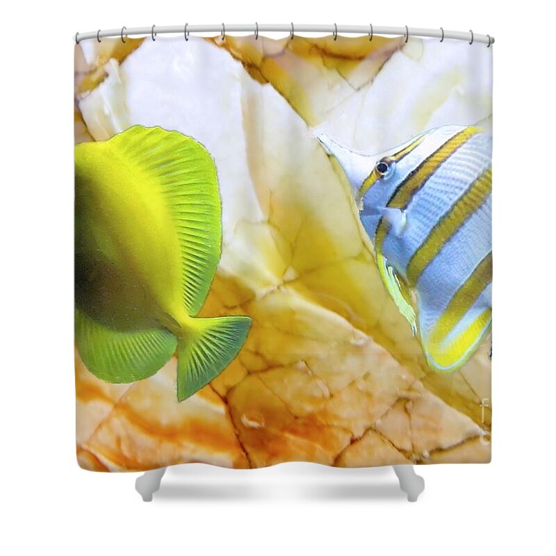 Angelfish Shower Curtain featuring the photograph Two Angelfish by Janette Boyd