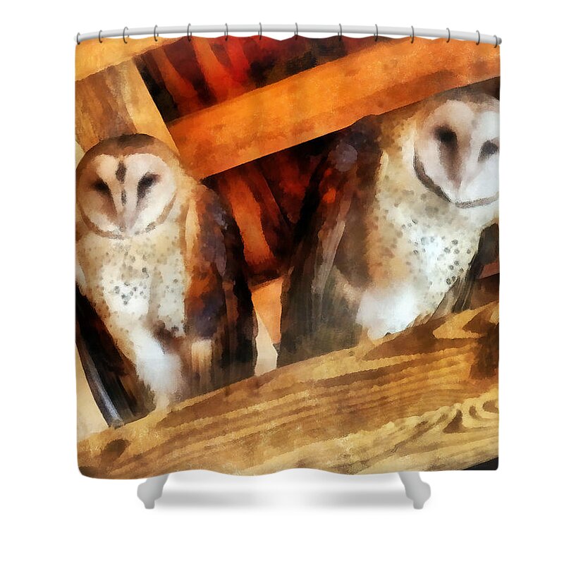 Owl Shower Curtain featuring the photograph Two Barn Owls by Susan Savad