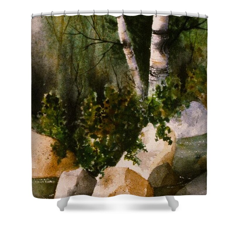 Two Birch By Rocky Stream Shower Curtain featuring the painting Two Birch by Rocky Stream by Teresa Ascone