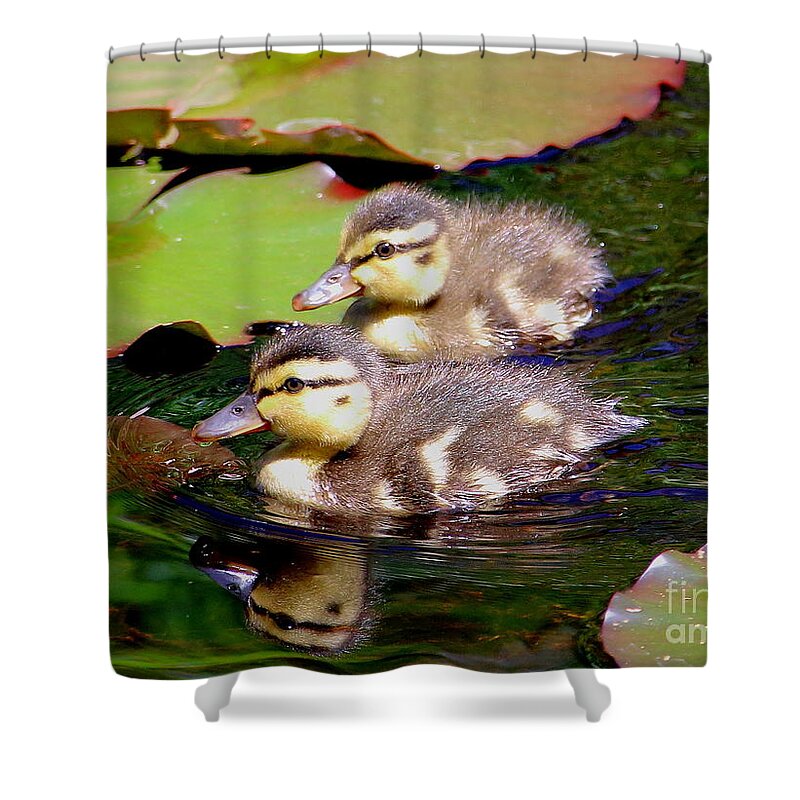 Ducklings Shower Curtain featuring the photograph Two Ducklings by Amanda Mohler