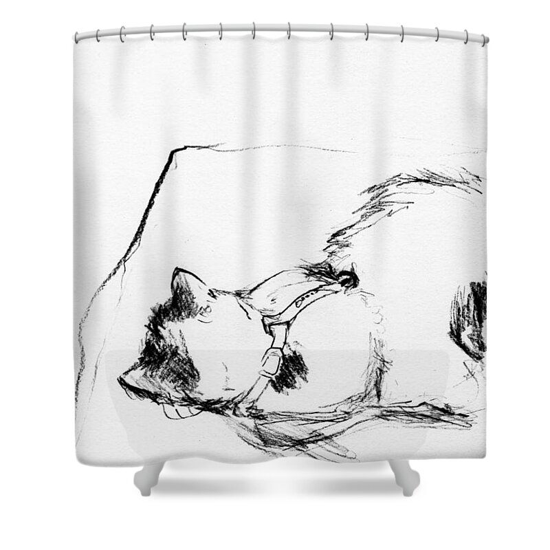 Cat Shower Curtain featuring the drawing Two ears by Karina Plachetka