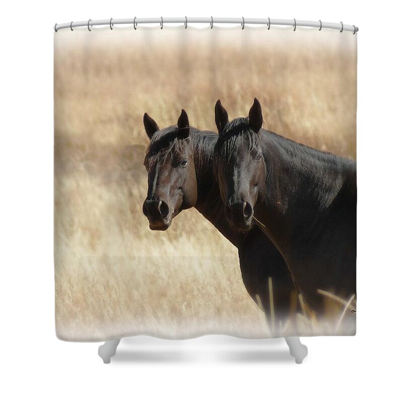 Horse Shower Curtain featuring the photograph Two Horses by Ernest Echols