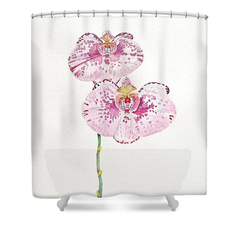 Orchid Shower Curtain featuring the painting Two Orchids by Michele Myers