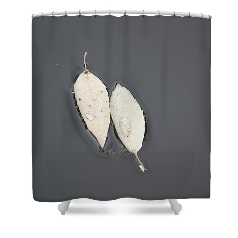 Water Shower Curtain featuring the photograph Two Peas In A Pod by Amy Gallagher