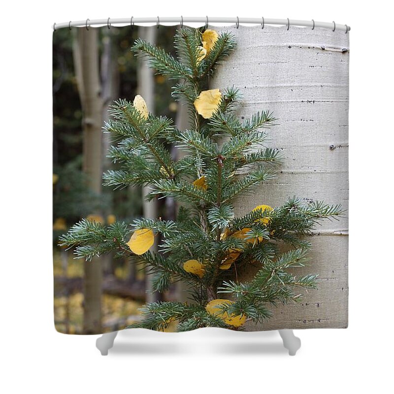 Trees Shower Curtain featuring the photograph Two Trees in Love by Eric Glaser