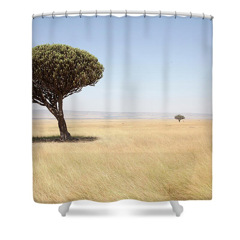 Kenya Shower Curtain featuring the photograph Typical Landscape, Masai Mara National by Angelika