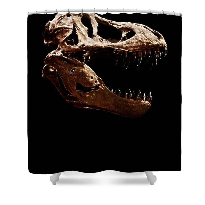 Tyrannosaurus Rex Skull Shower Curtain featuring the photograph Tyrannosaurus rex skull 1 by Weston Westmoreland
