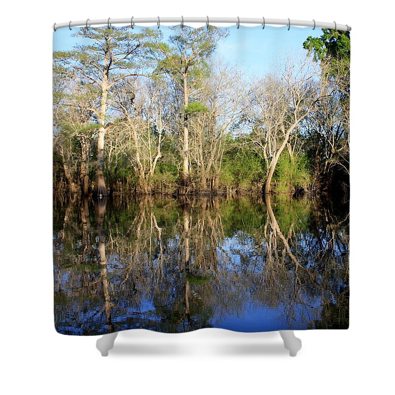 River Shower Curtain featuring the photograph Ultimate Reflection by Debra Forand