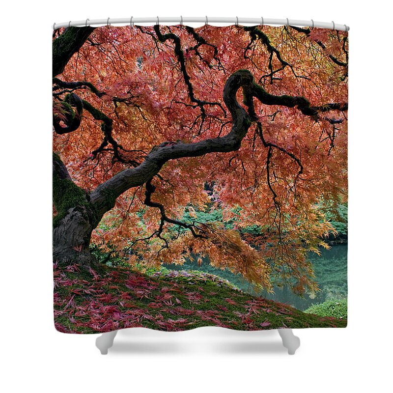 Under Fall's Cover Shower Curtain featuring the photograph Under Fall's Cover by Wes and Dotty Weber